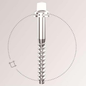 rail screw rail screw